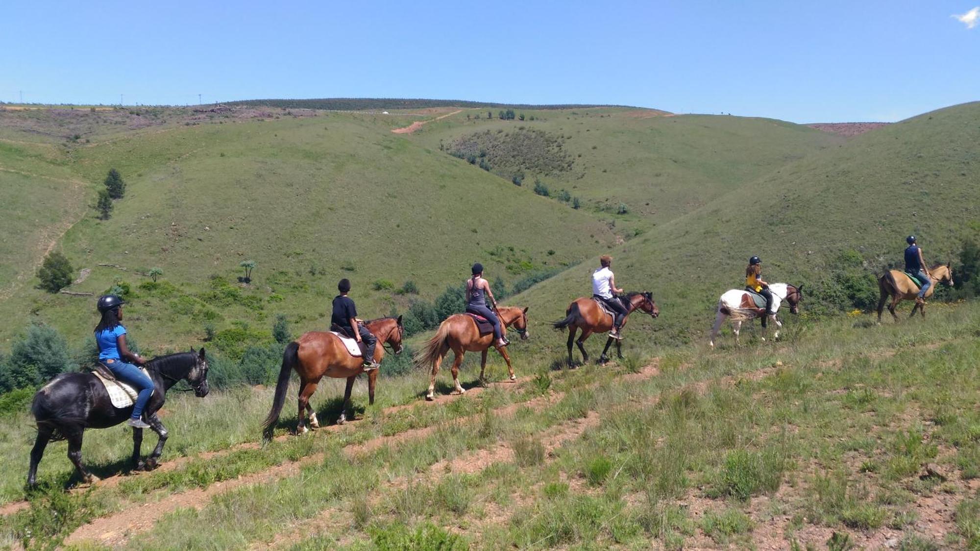 Rockydrift Nature Reserve Waterval Boven Eksteriør bilde